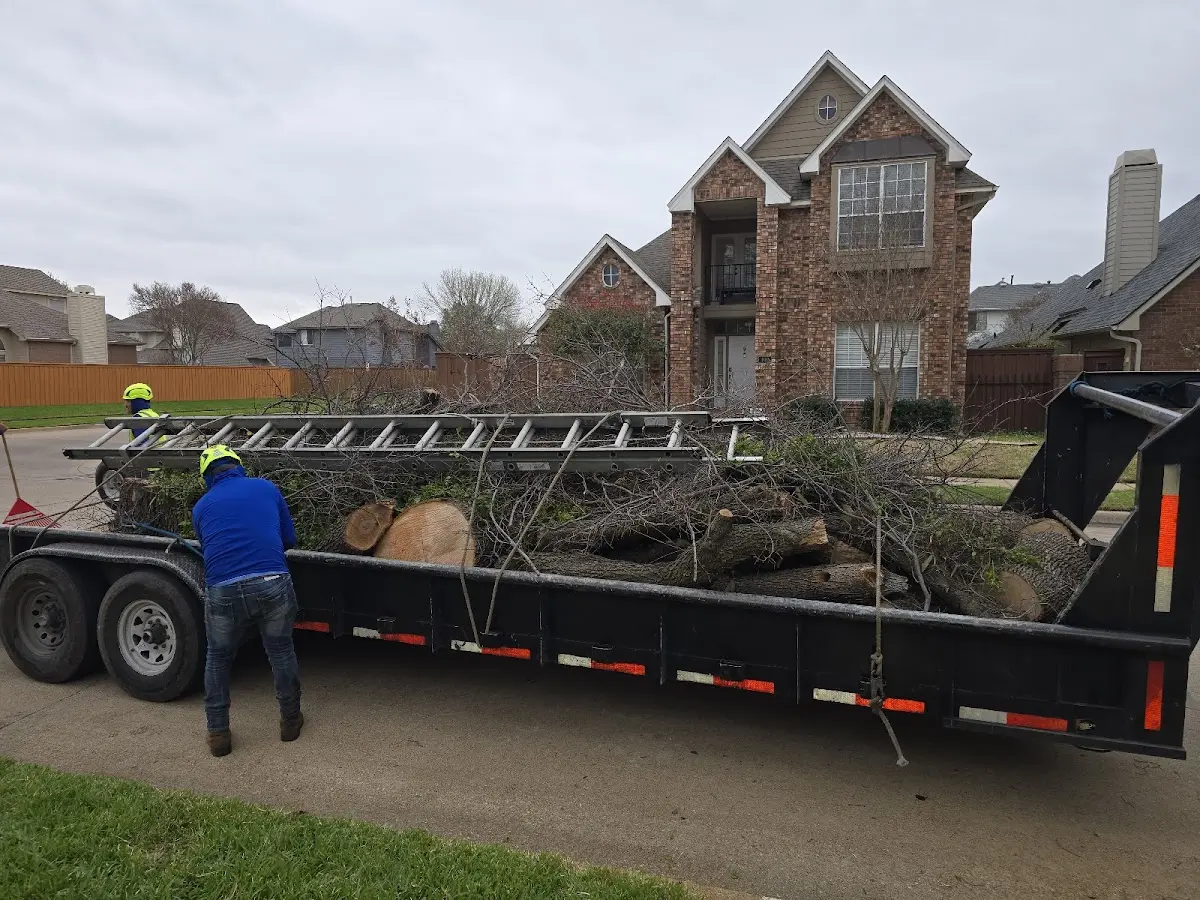 Expert Tree Fertilization with proper safety equipment in East Dixfield